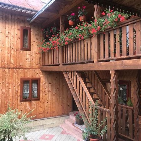 Vatra Moldoviţei Pensiunea Agroturistica Casa Colinita מראה חיצוני תמונה
