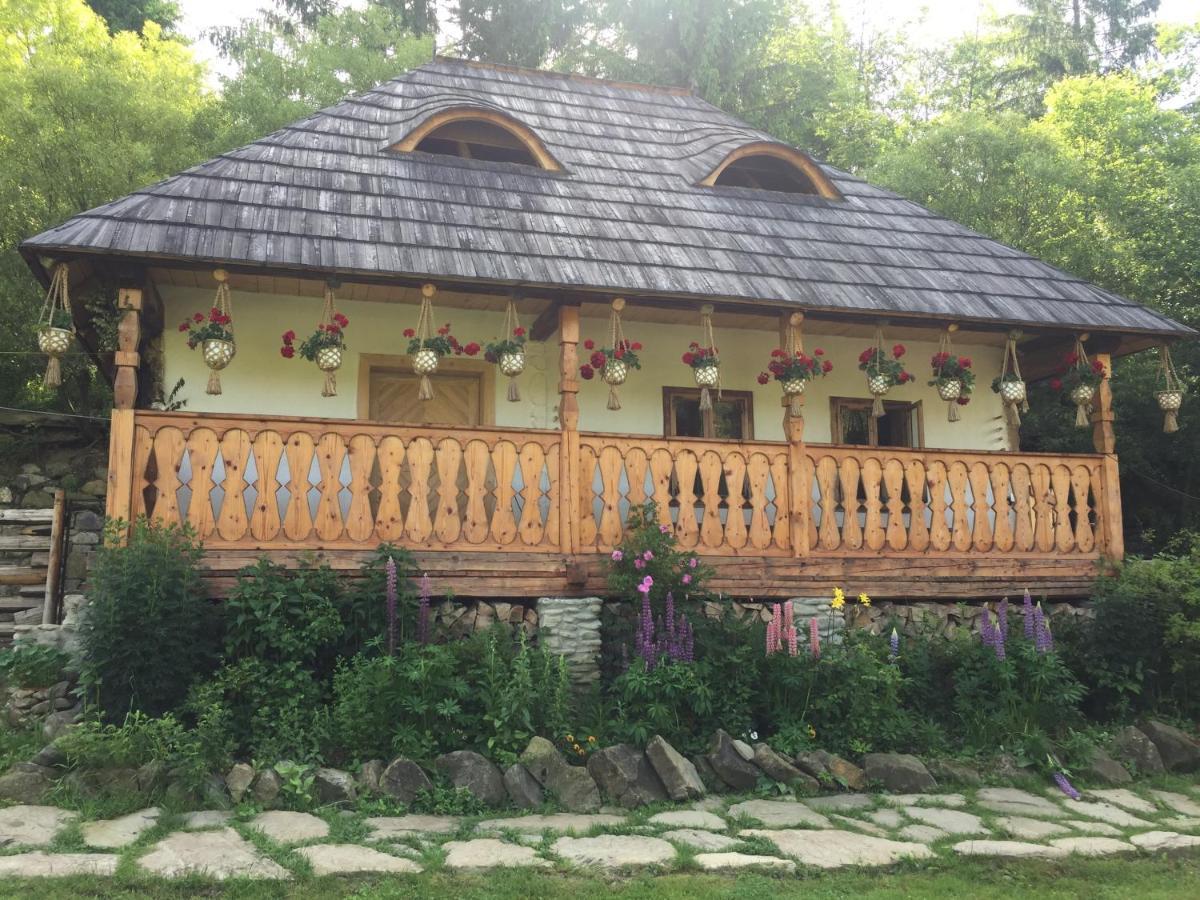 Vatra Moldoviţei Pensiunea Agroturistica Casa Colinita מראה חיצוני תמונה