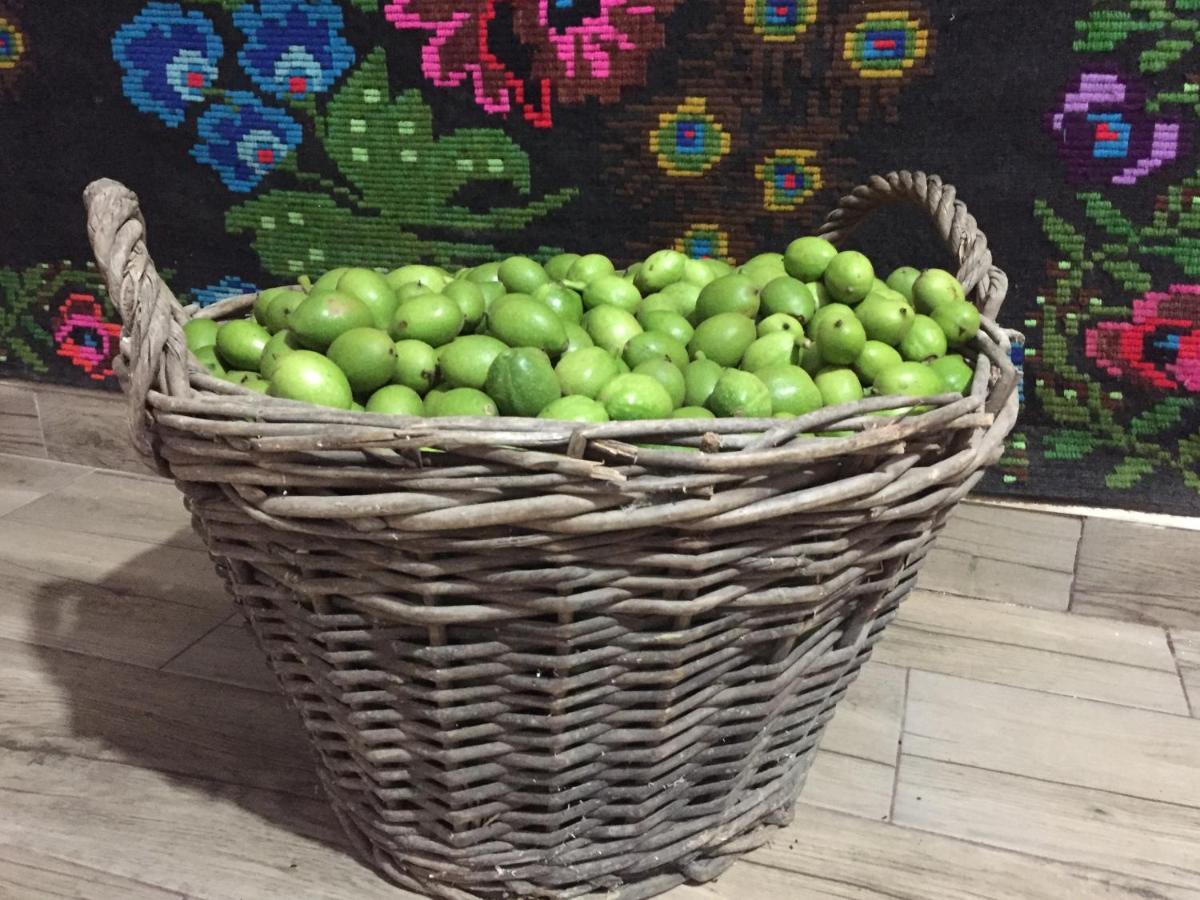 Vatra Moldoviţei Pensiunea Agroturistica Casa Colinita מראה חיצוני תמונה