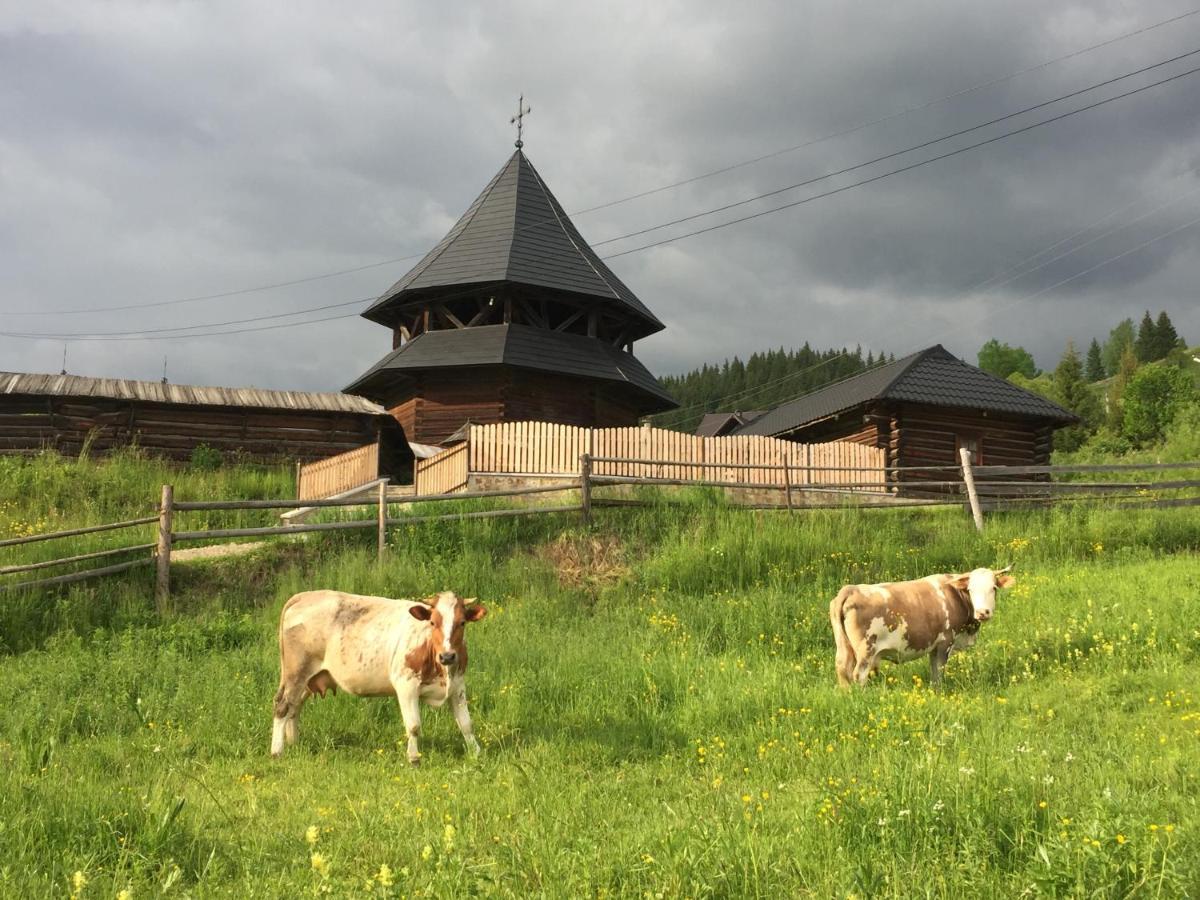 Vatra Moldoviţei Pensiunea Agroturistica Casa Colinita מראה חיצוני תמונה