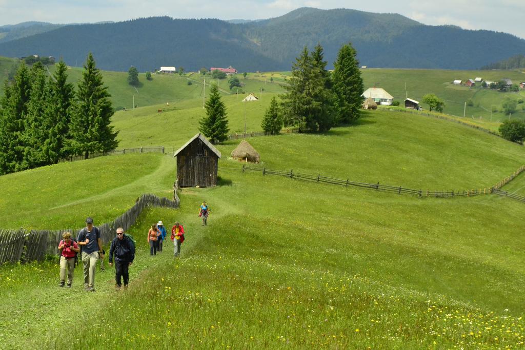 Vatra Moldoviţei Pensiunea Agroturistica Casa Colinita מראה חיצוני תמונה